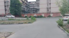 驾校常年招收学员，随到随学