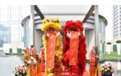 礼仪模特、主持、舞狮